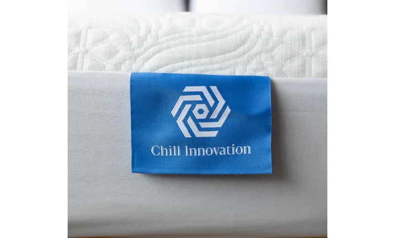 Natural latex and organic cotton blend mattressesDreamFit DreamChill Queen Mattress Protector Natural latex and organic cotton blend mattressesDreamFit DreamChill Queen Mattress Protector