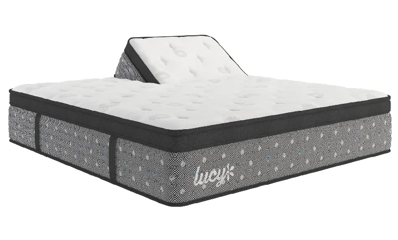 Polyester - foam mattresses for budget - friendly optionsLucy Iris Plush Euro Split Top Polyester - foam mattresses for budget - friendly optionsLucy Iris Plush Euro Split Top