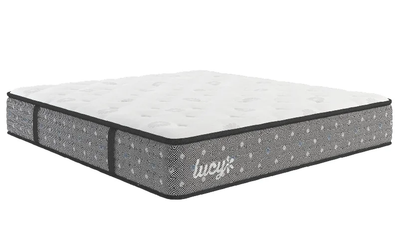 Queen - size mattresses for couples and standard bedroomsLucy Iris Cushion Firm