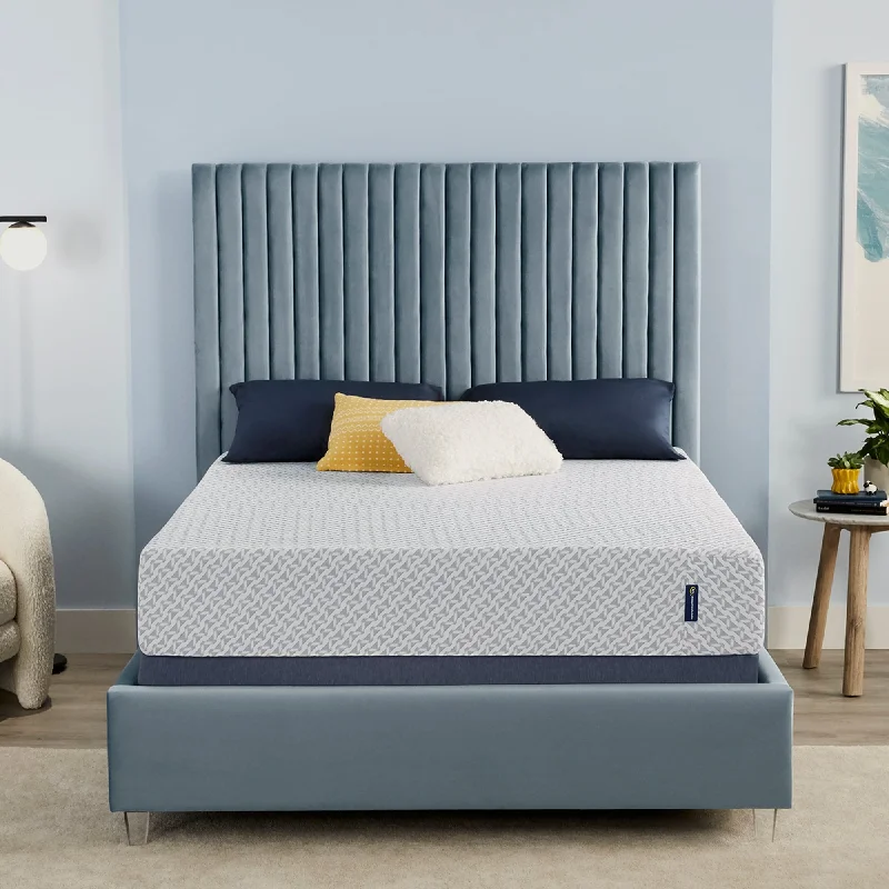 Polyester - foam mattresses for budget - friendly optionsSerta Sheep Retreat 10" Medium Memory Foam Mattress in a Box Polyester - foam mattresses for budget - friendly optionsSerta Sheep Retreat 10" Medium Memory Foam Mattress in a Box