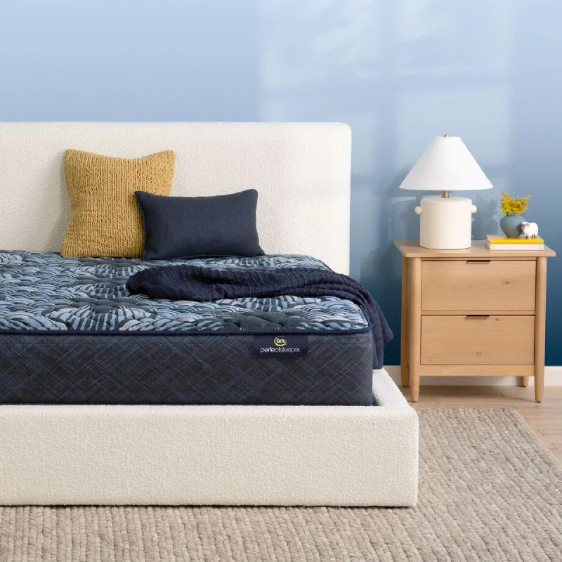 Polyester - foam mattresses for budget - friendly optionsPerfect Sleeper Sleep Excellence