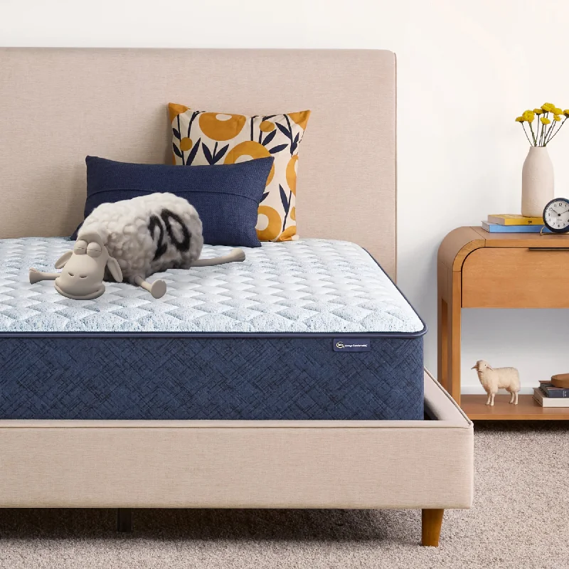 King - size mattresses for spacious master bedroomsSerta Sleep to Go Hybrid Mattress in a Box