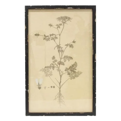 Bed skirts with a beach - themed printHeadly Garden Botanical Print # 2
